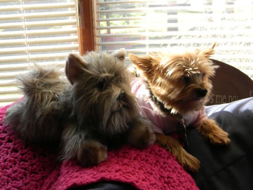 cute animals stuffed toys 30