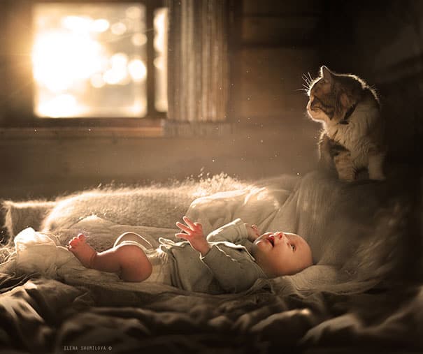 Photo via Elena Shumilova