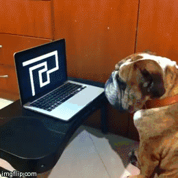 dogs scared of normal things 18.gif