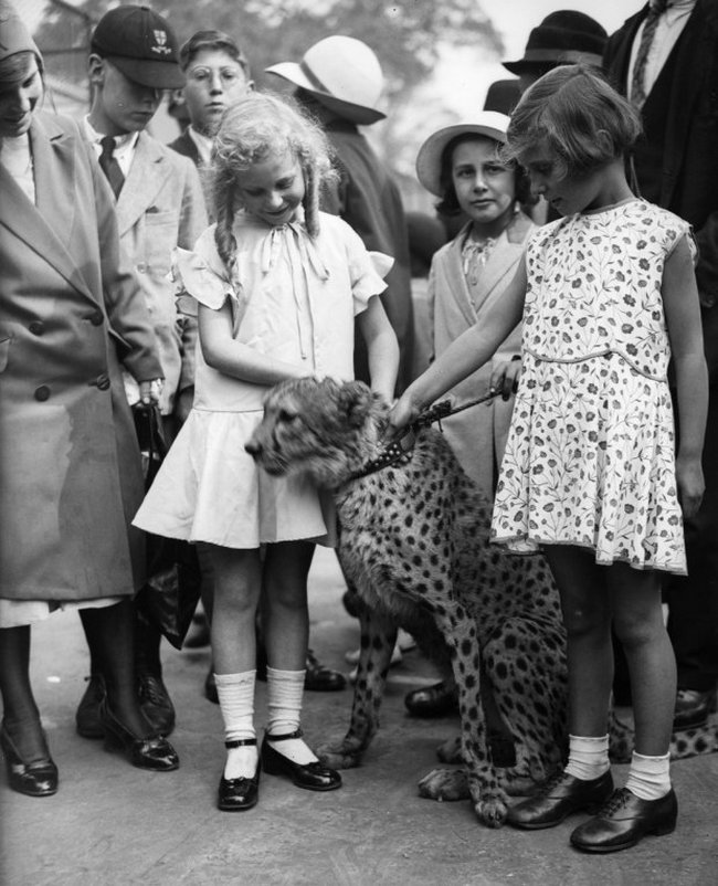 fotos-antigas-e-bizarras-4