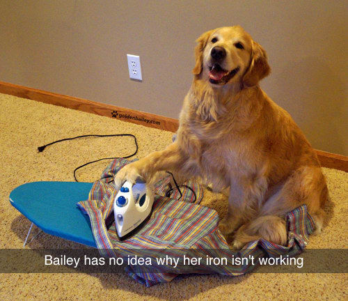 goldenbailey