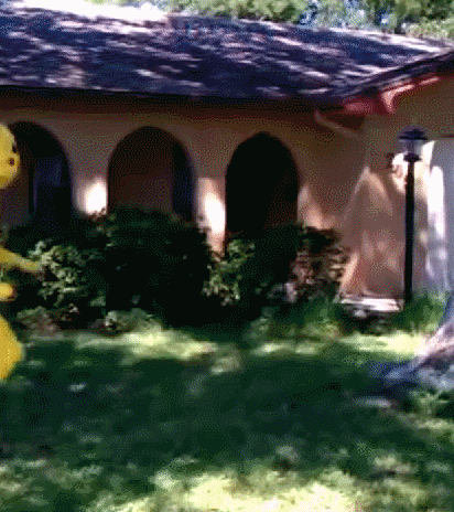 funny gifs about life 19.gif