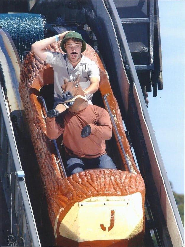 funny roller coaster photos horse