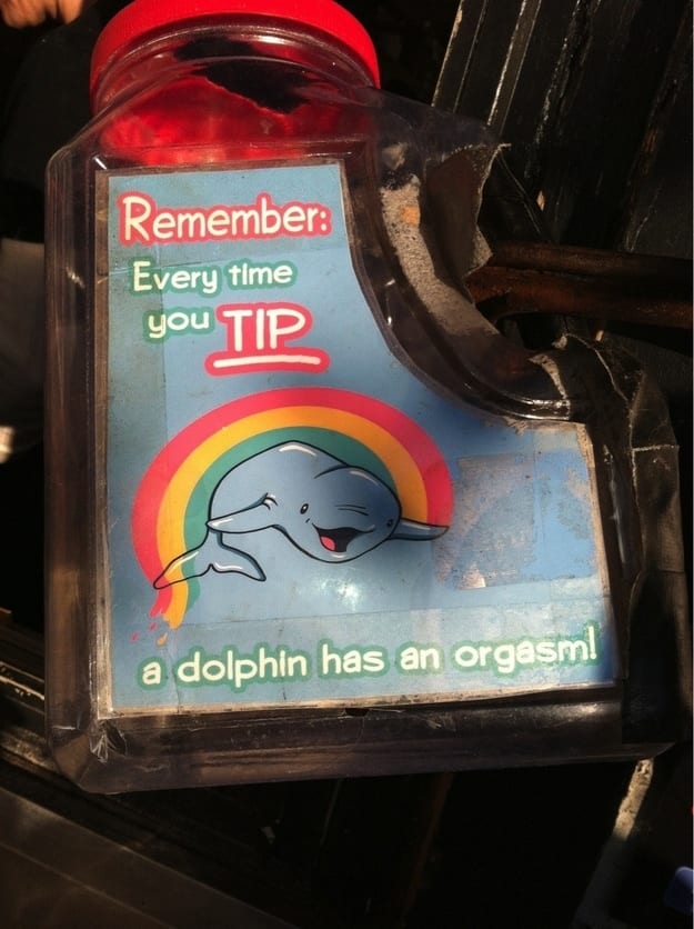 funny tip jars 15