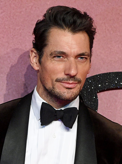 ãã´ã£ããã»ã®ã£ã³ãã£ì ëí ì´ë¯¸ì§ ê²ìê²°ê³¼