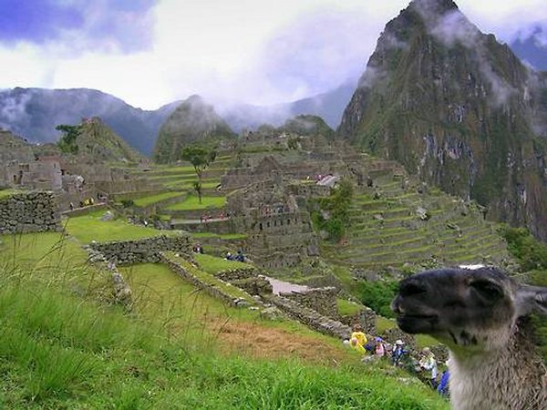 lama maccu pichu