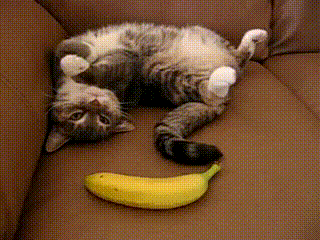 Bananas are scary!