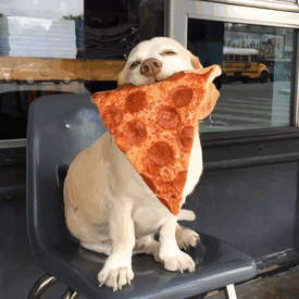 When pizza is life and life is pizza!