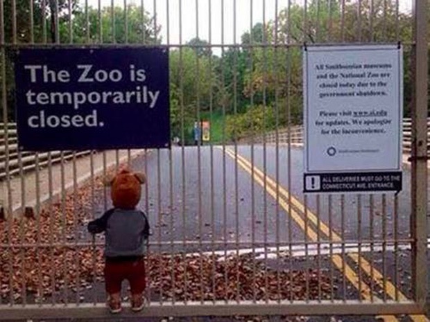 via: nydailynews.com