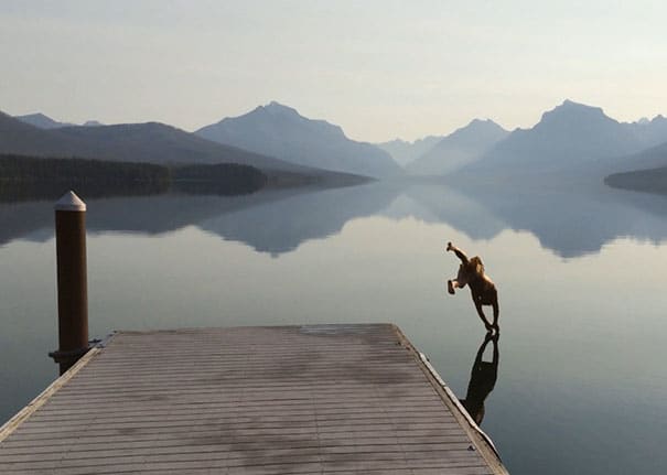 perfectly timed photos 32