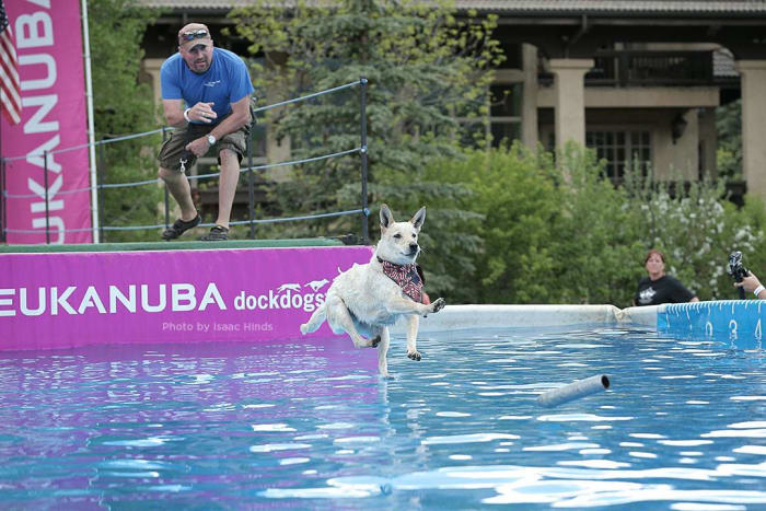 perfectly timed photos 41