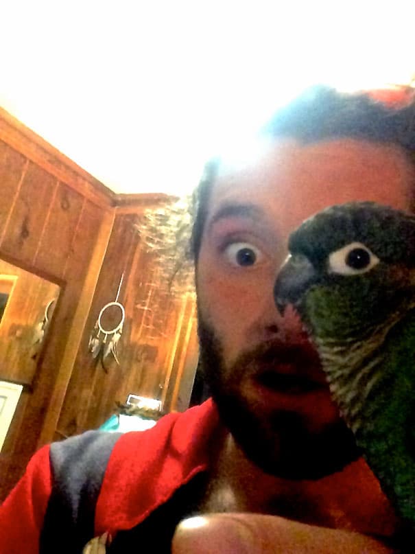 perfectly timed photos 8