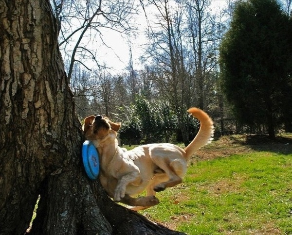 photos-before-epic-fails-9