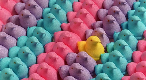 photos that annoy you 28.jpg