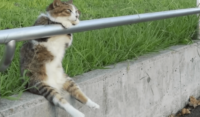 Screen Shot 2015-01-12 at 14.27.47