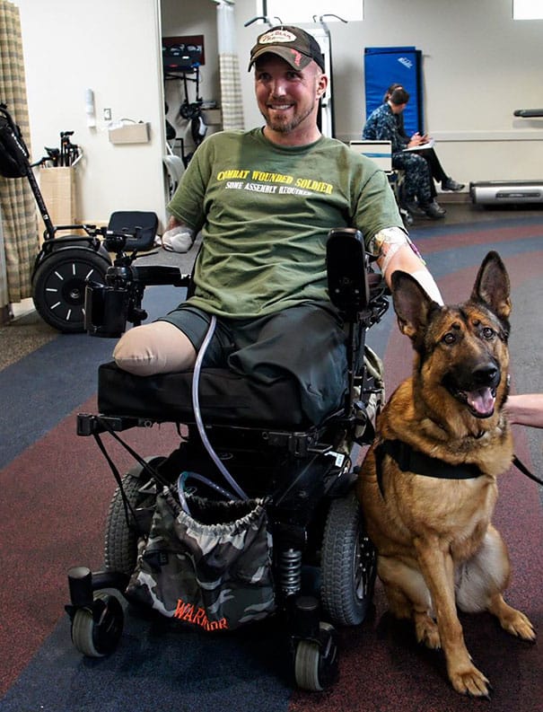 service dogs powerful photos 13