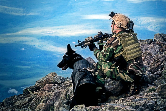 service dogs powerful photos 27