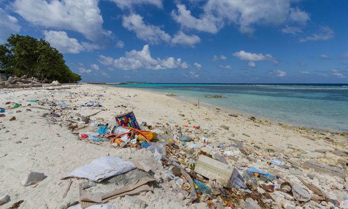 travel expectations vs reality 20.jpg