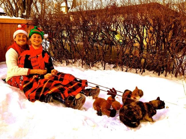 unexplainable cat photos 13