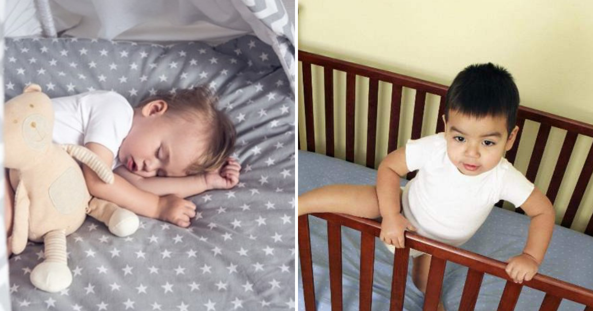 Toddlers Should Sleep In A Cot Until They Are 3 Years Old, Experts