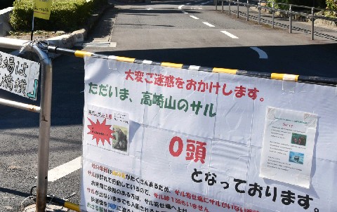 ããµã«ãã¹ãã©ã¤ã­ãã®ç»åæ¤ç´¢çµæ