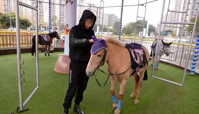 デパートで乗った メリーゴーランド が本当の生きてる馬でした Hachibachi