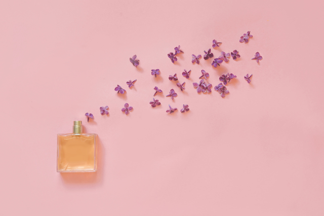 ããªãã© éå­¦ãã®ç»åæ¤ç´¢çµæ