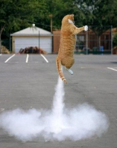 ããªãã©ãå¼æ°ãã®ç»åæ¤ç´¢çµæ