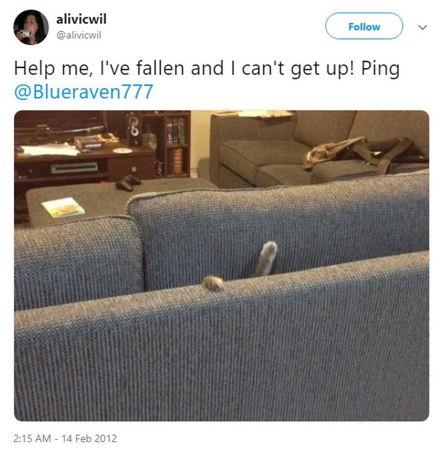 Cat sinking into couch cushions.