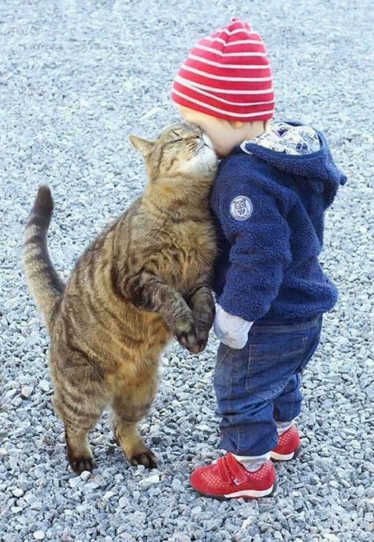 21 Cats Babysitting Babies - "I love you too, pumpkin."
