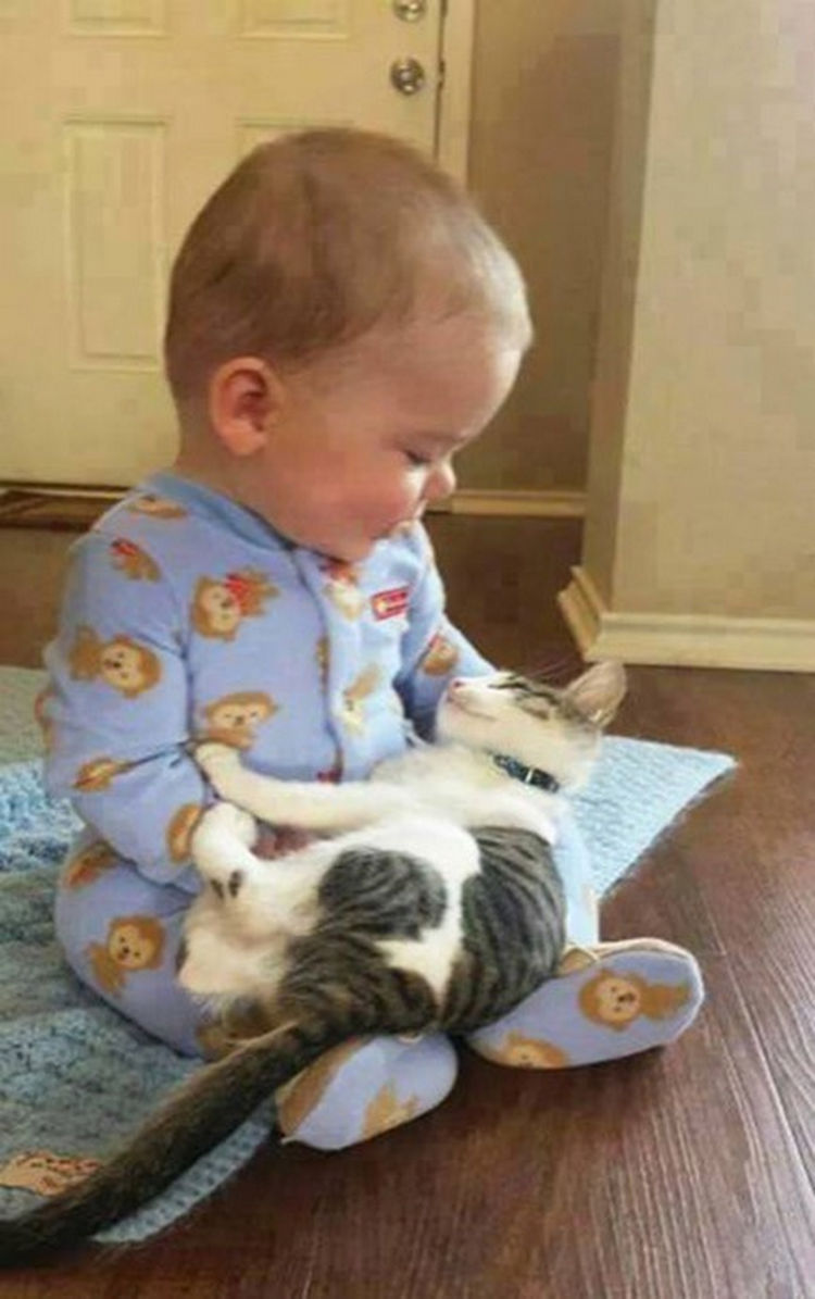 21 Cats Babysitting Babies - "How