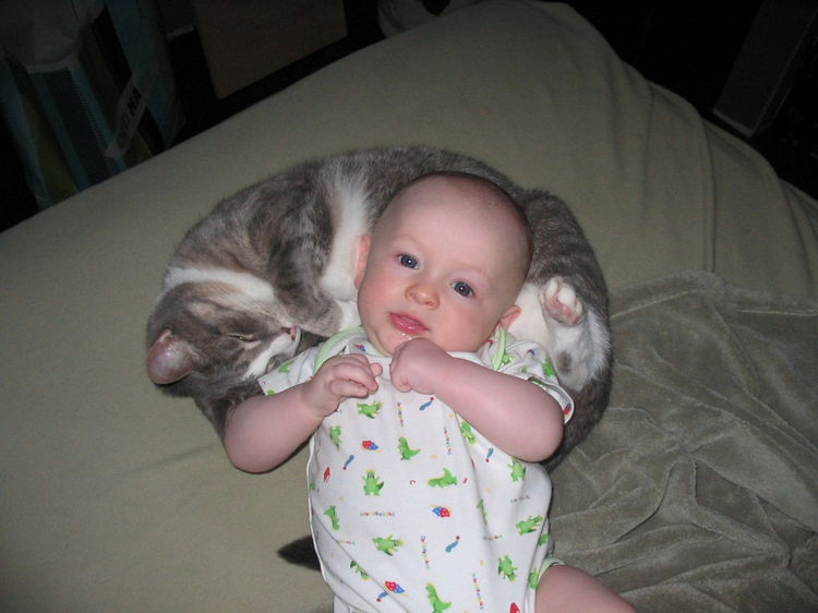 21 Cats Babysitting Babies - "It may not be your naptime, but it is mine!"