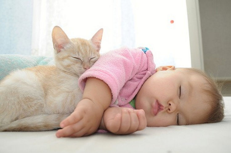 21 Cats Babysitting Babies - "You
