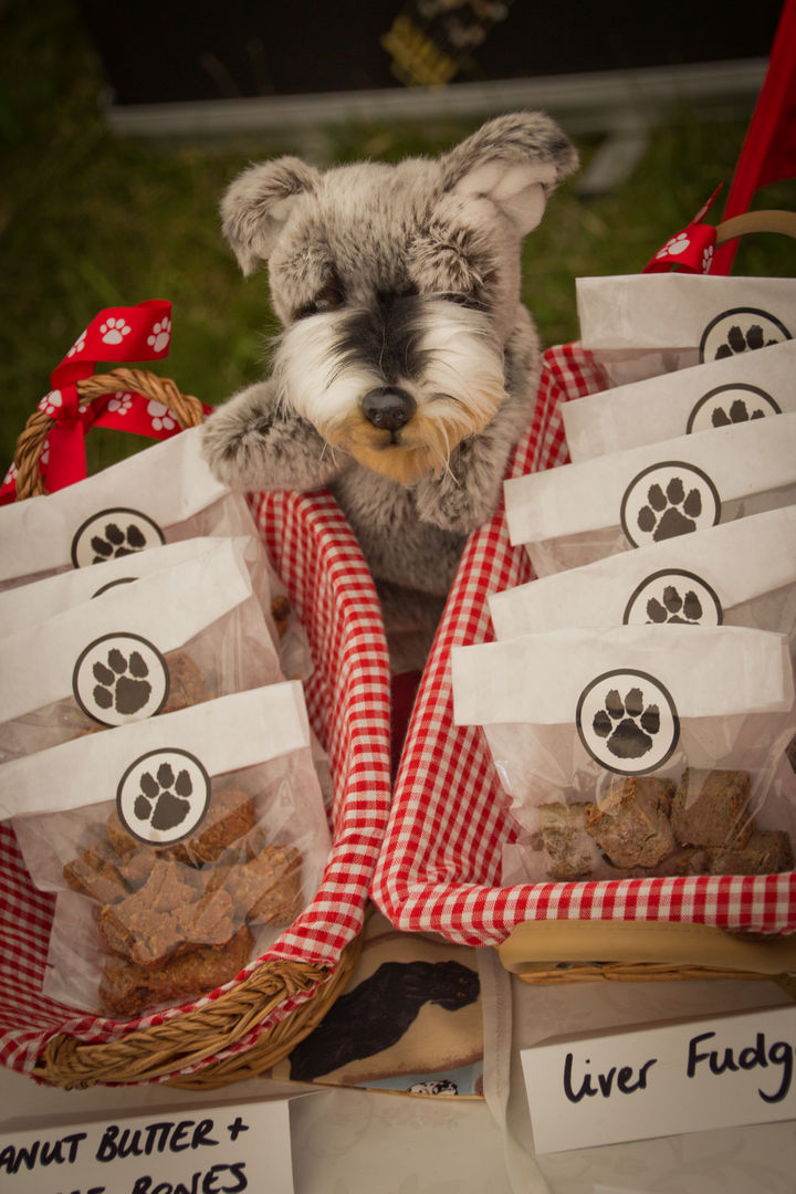 22 Handy Silica Gel Uses - Prevent bulk pet food from getting soggy.