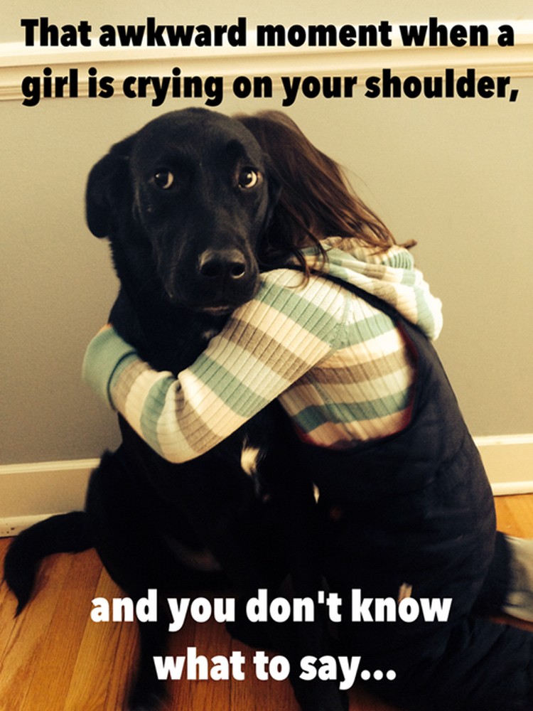 27 Funny Animal Memes - "That awkward moment when a girl is crying on your shoulder and you don