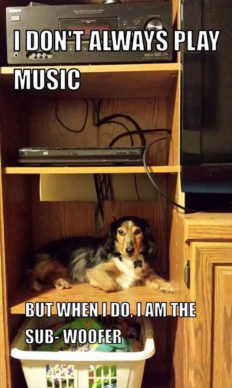 27 Funny Animal Memes - "I don
