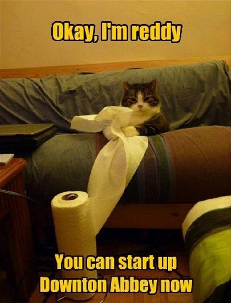 27 Funny Animal Memes - "Ok, I