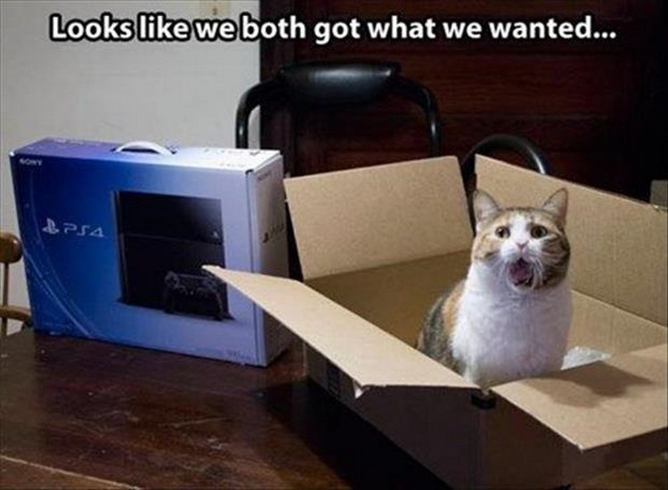 27 Funny Animal Memes - "Looks like we both got what we wanted."