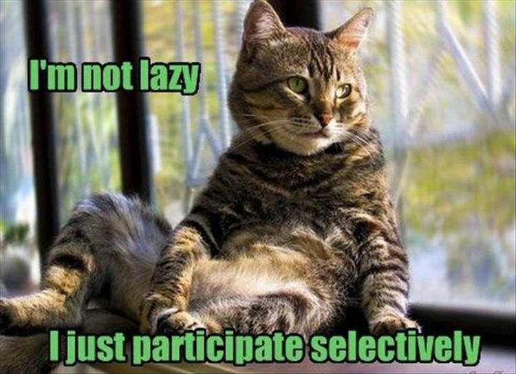 27 Funny Animal Memes - "I