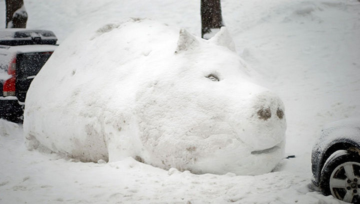 25 Office Pranks - "Dude, where