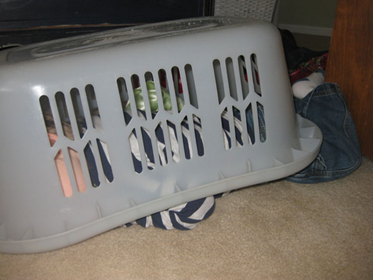 25 Kids Sleeping in the Strangest Places - His idea of a canopy bed.