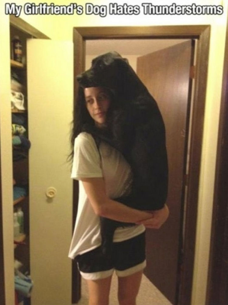 30 Things Only Dog Owners Will Understand - They still don