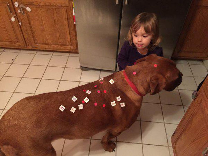 33 Reasons to Be Happy If You Are Not a Parent - Your pets won