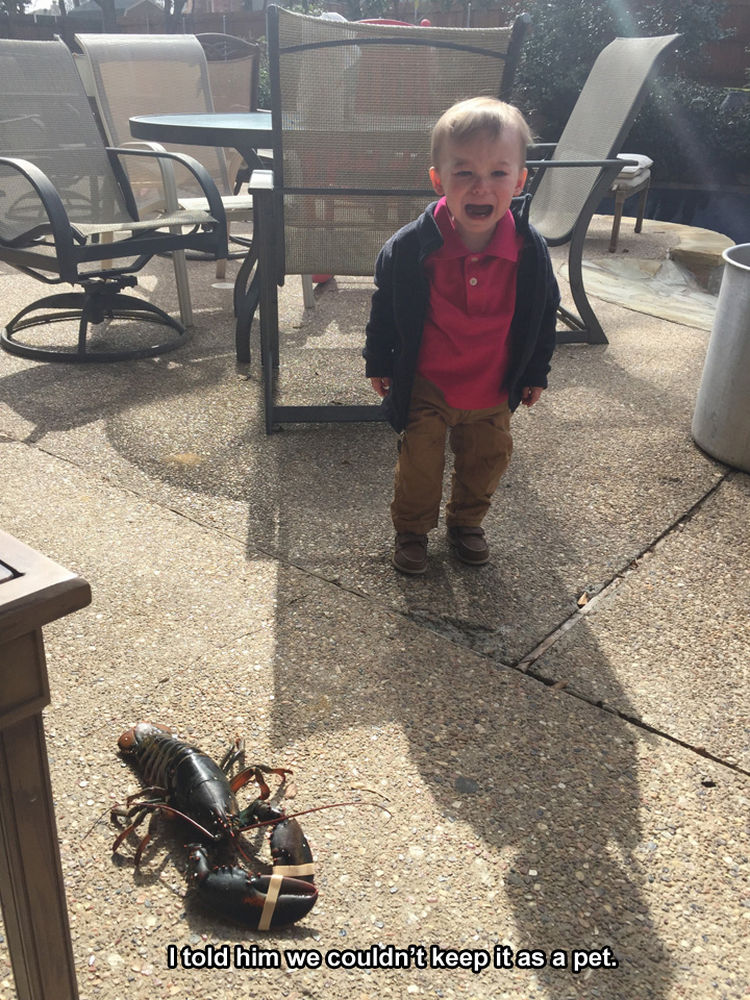 37 Photos of Kids Losing It - I told him we couldn