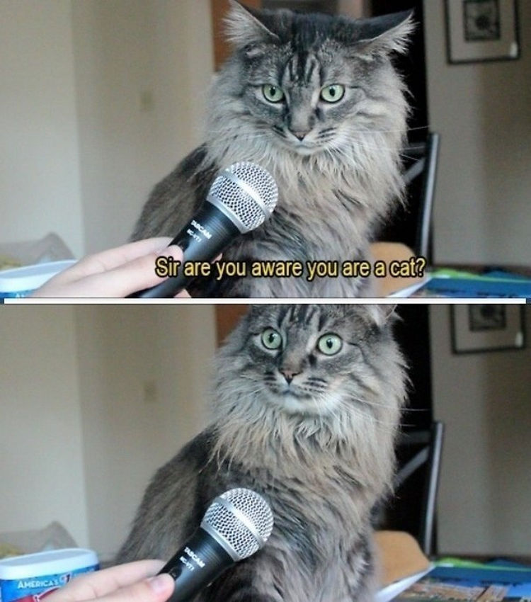 44 Incredibly Funny Pictures That Will Make You Smile - It just dawned on him.