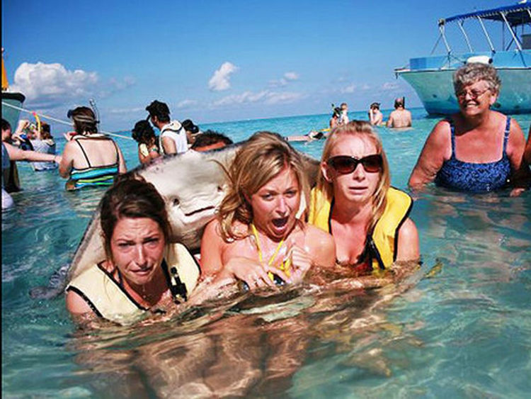 44 Incredibly Funny Pictures That Will Make You Smile - Say cheese!