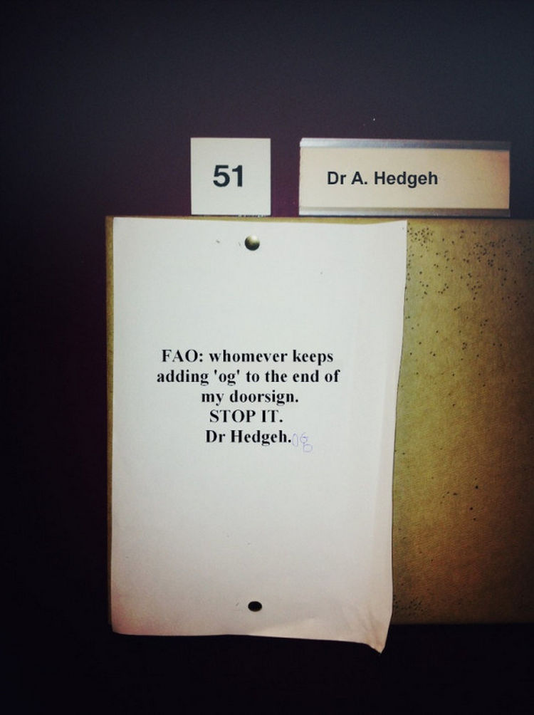 44 Incredibly Funny Pictures That Will Make You Smile - Doctor Hedgehog can
