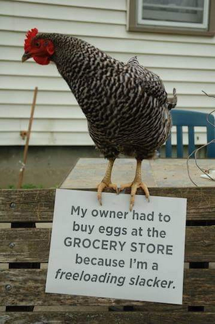 44 Incredibly Funny Pictures That Will Make You Smile - Time to get a job.