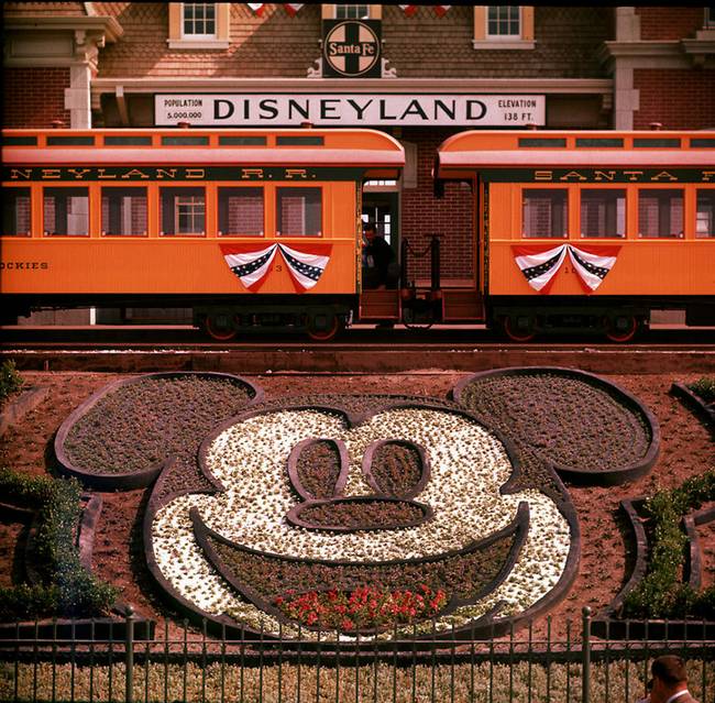 disney-1955-4