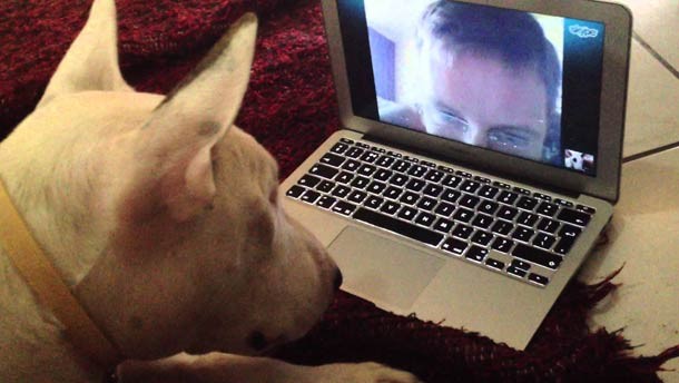 Dogonskype